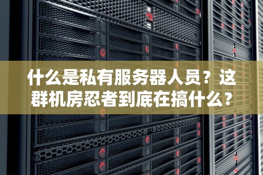 什么是私有服务器人员？这群机房忍者到底在搞什么？