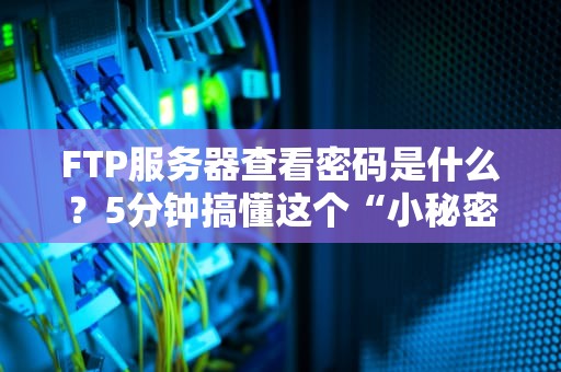 FTP服务器查看密码是什么？5分钟搞懂这个“小秘密”！