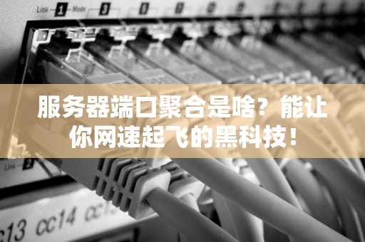服务器端口聚合是啥？能让你网速起飞的黑科技！