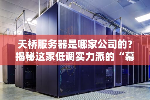 天桥服务器是哪家公司的？揭秘这家低调实力派的“幕后英雄”！