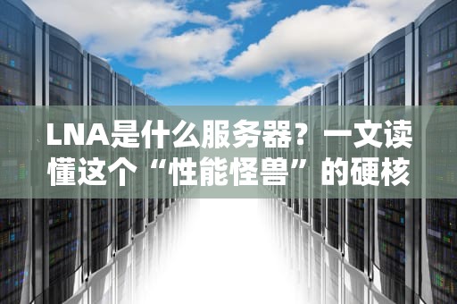 LNA是什么服务器？一文读懂这个“性能怪兽”的硬核实力！