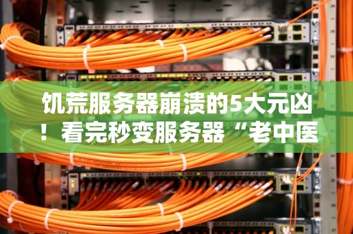 饥荒服务器崩溃的5大元凶！看完秒变服务器“老中医”