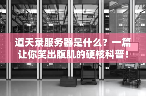 道天录服务器是什么？一篇让你笑出腹肌的硬核科普！