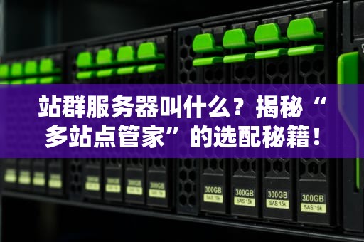 站群服务器叫什么？揭秘“多站点管家”的选配秘籍！