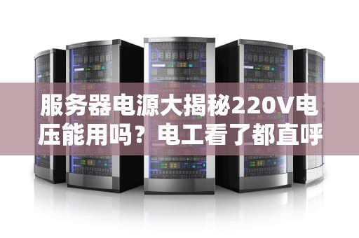 服务器电源大揭秘220V电压能用吗？电工看了都直呼内行！