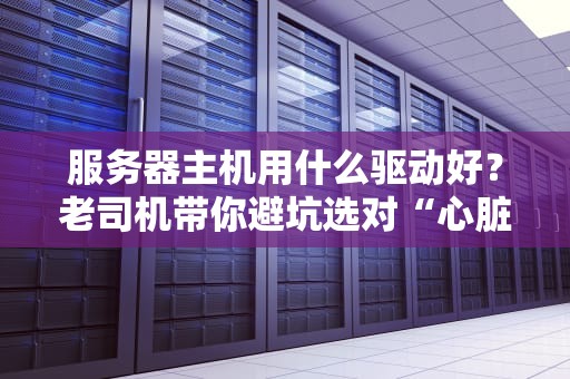 服务器主机用什么驱动好？老司机带你避坑选对“心脏”动力！
