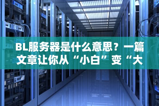 BL服务器是什么意思？一篇文章让你从“小白”变“大神”！