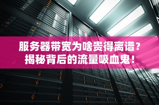 服务器带宽为啥贵得离谱？揭秘背后的流量吸血鬼！