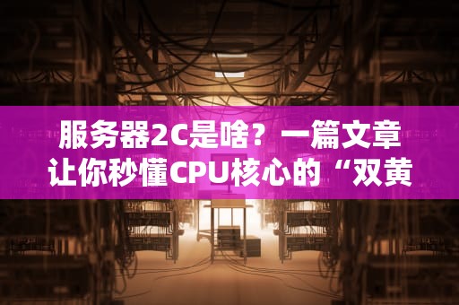 服务器2C是啥？一篇文章让你秒懂CPU核心的“双黄蛋”玄学！