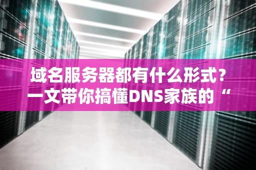 域名服务器都有什么形式？一文带你搞懂DNS家族的“十八般武艺”
