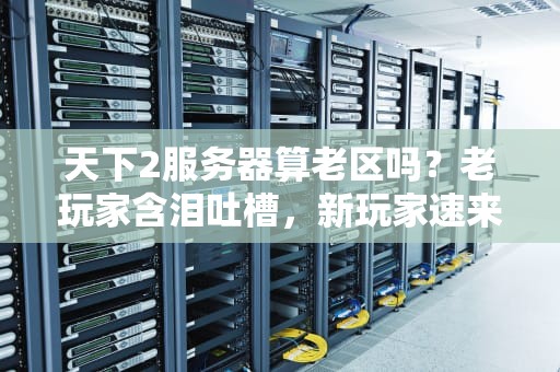 天下2服务器算老区吗？老玩家含泪吐槽，新玩家速来避坑！