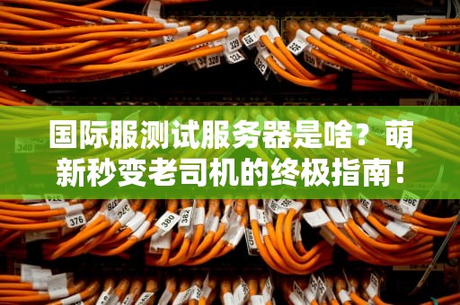 国际服测试服务器是啥？萌新秒变老司机的终极指南！
