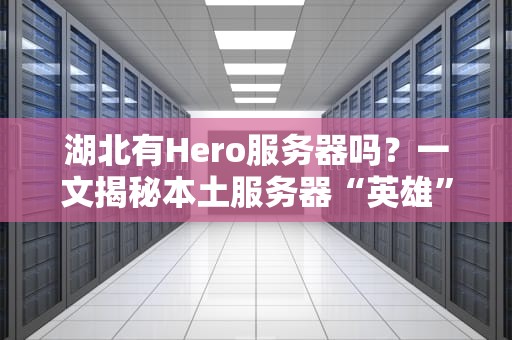湖北有Hero服务器吗？一文揭秘本土服务器“英雄”在哪！