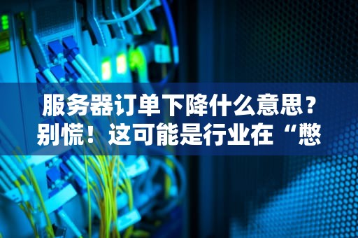 服务器订单下降什么意思？别慌！这可能是行业在“憋大招”
