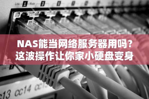 NAS能当网络服务器用吗？这波操作让你家小硬盘变身“全能打工人”！