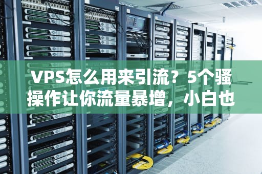 VPS怎么用来引流？5个骚操作让你流量暴增，小白也能轻松上手！