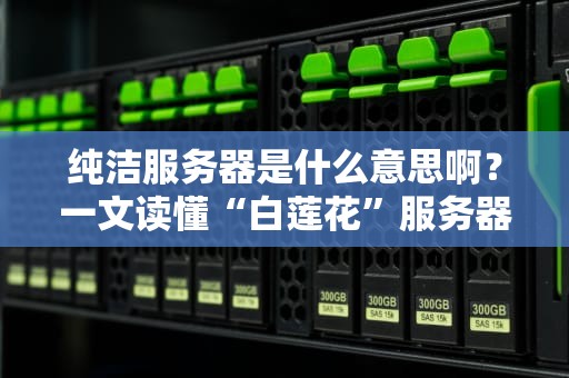 纯洁服务器是什么意思啊？一文读懂“白莲花”服务器的秘密！