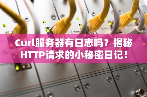 Curl服务器有日志吗？揭秘HTTP请求的小秘密日记！
