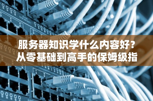 服务器知识学什么内容好？从零基础到高手的保姆级指南！
