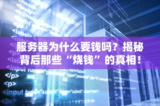 服务器为什么要钱吗？揭秘背后那些“烧钱”的真相！