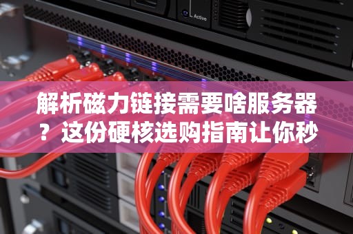 解析磁力链接需要啥服务器？这份硬核选购指南让你秒变老司机！