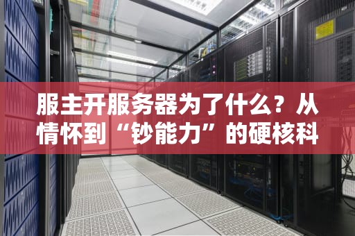 服主开服务器为了什么？从情怀到“钞能力”的硬核科普！
