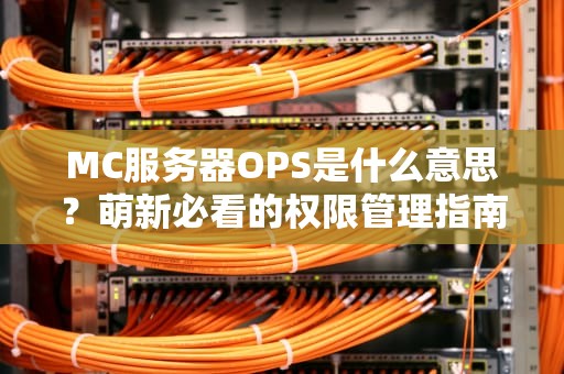 MC服务器OPS是什么意思？萌新必看的权限管理指南！