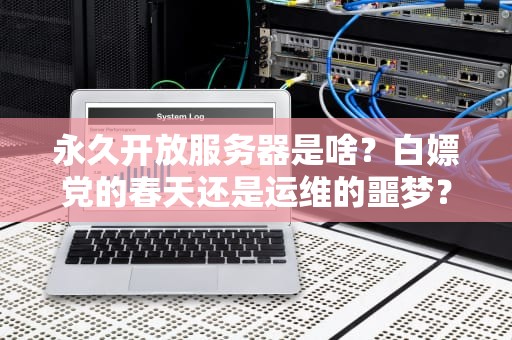永久开放服务器是啥？白嫖党的春天还是运维的噩梦？（附专业测评）