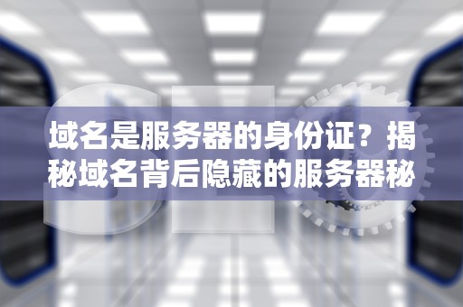 域名是服务器的身份证？揭秘域名背后隐藏的服务器秘密！
