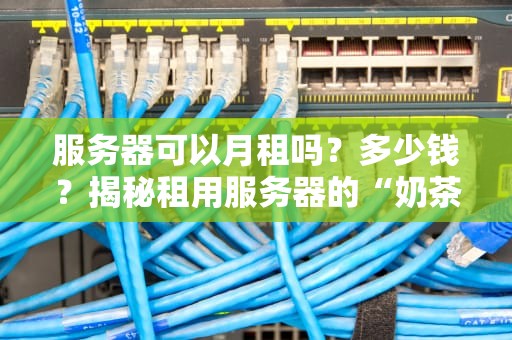 服务器可以月租吗？多少钱？揭秘租用服务器的“奶茶价”和“龙虾价”