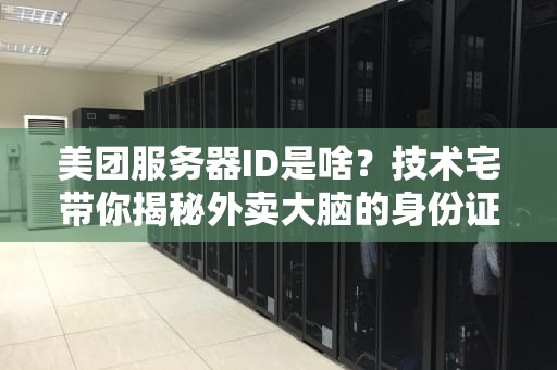 美团服务器ID是啥？技术宅带你揭秘外卖大脑的身份证号