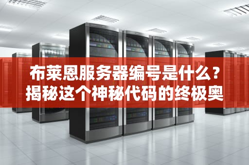 布莱恩服务器编号是什么？揭秘这个神秘代码的终极奥义！