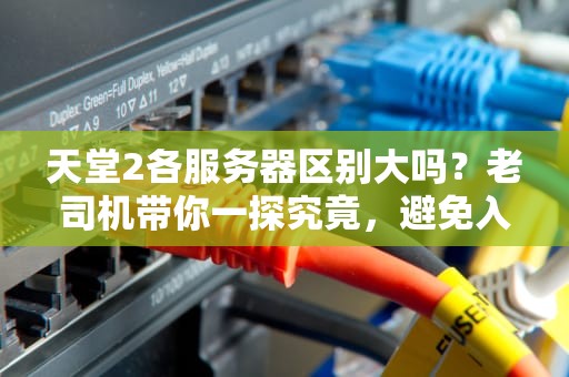 天堂2各服务器区别大吗？老司机带你一探究竟，避免入坑！