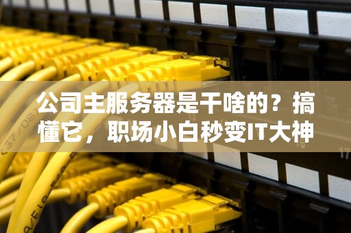 公司主服务器是干啥的？搞懂它，职场小白秒变IT大神！