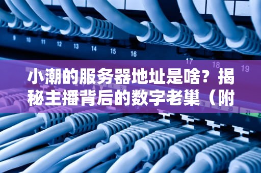 小潮的服务器地址是啥？揭秘主播背后的数字老巢（附专业服务器避坑指南）