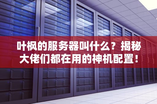 叶枫的服务器叫什么？揭秘大佬们都在用的神机配置！