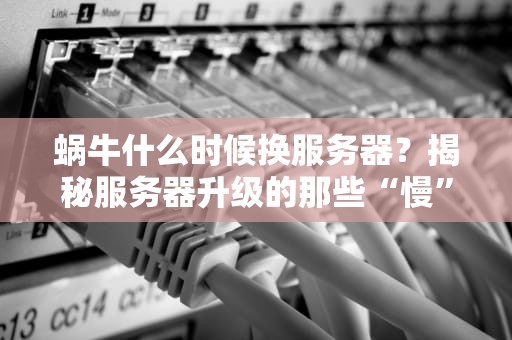蜗牛什么时候换服务器？揭秘服务器升级的那些“慢”道理