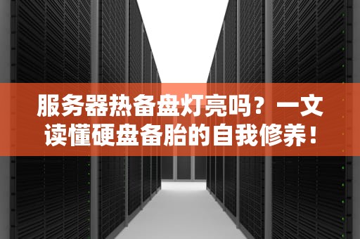服务器热备盘灯亮吗？一文读懂硬盘备胎的自我修养！