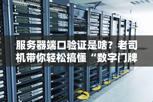 服务器端口验证是啥？老司机带你轻松搞懂“数字门牌号”的秘密！