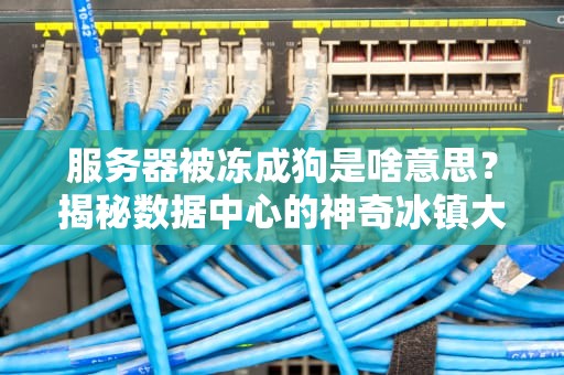 服务器被冻成狗是啥意思？揭秘数据中心的神奇冰镇大法！