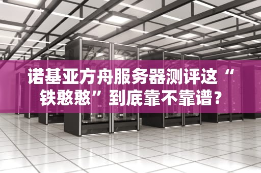 诺基亚方舟服务器测评这“铁憨憨”到底靠不靠谱？