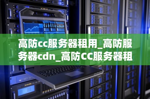高防cc服务器租用_高防服务器cdn_高防CC服务器租用：保护您的网站免受DDoS攻击