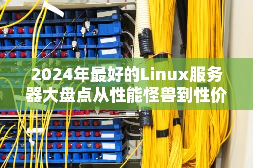 2024年最好的Linux服务器大盘点从性能怪兽到性价比之王，总有一款让你直呼真香！