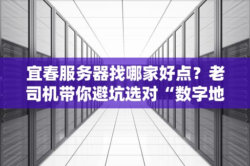 宜春服务器找哪家好点？老司机带你避坑选对“数字地基”！