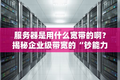 服务器是用什么宽带的啊？揭秘企业级带宽的“钞能力”与“骚操作”！