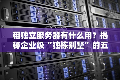 租独立服务器有什么用？揭秘企业级“独栋别墅”的五大神操作！