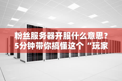 粉丝服务器开服什么意思？5分钟带你搞懂这个“玩家天堂”的奥秘！
