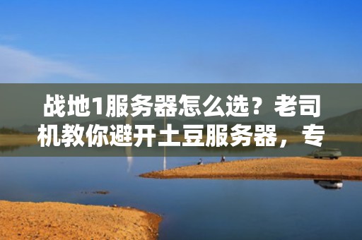 战地1服务器怎么选？老司机教你避开土豆服务器，专找“丝滑战场”！
