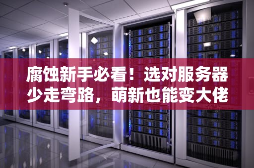 腐蚀新手必看！选对服务器少走弯路，萌新也能变大佬