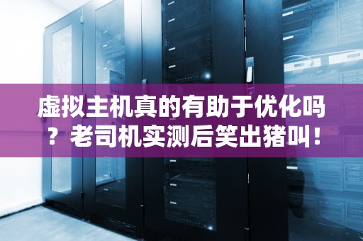 虚拟主机真的有助于优化吗？老司机实测后笑出猪叫！